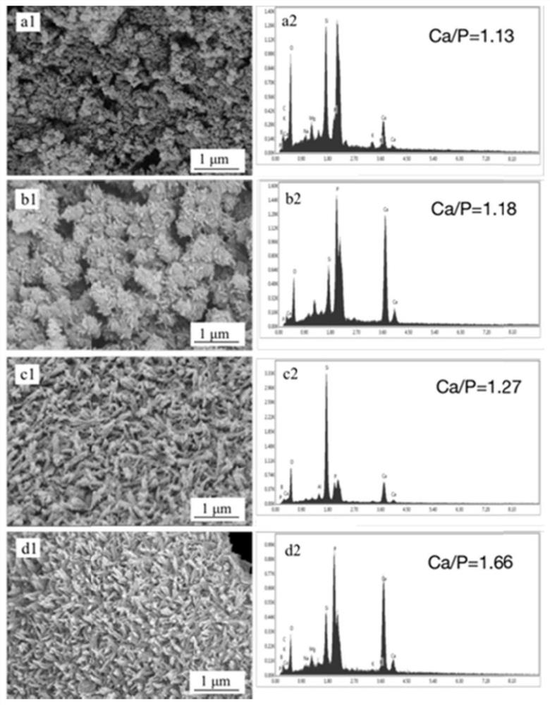 Bioglass composite bone cement and electric field treatment method