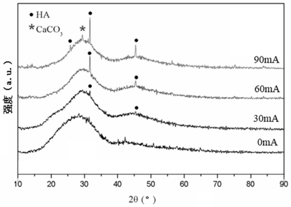 Bioglass composite bone cement and electric field treatment method