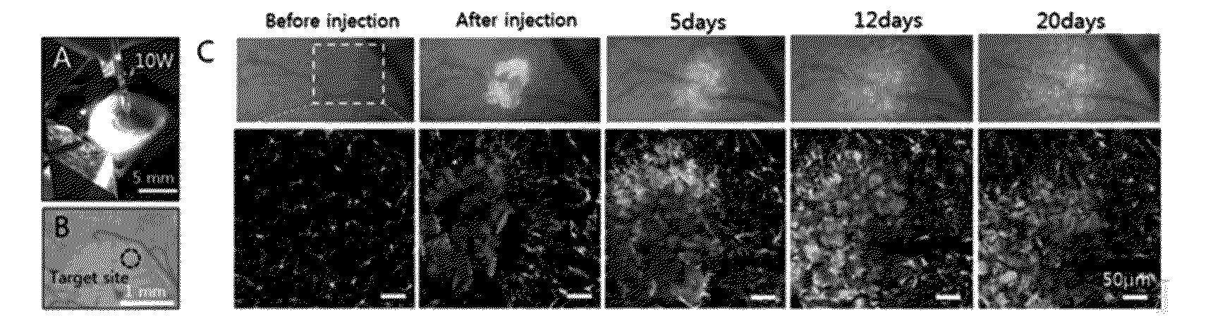 Partial skull replacements capable of monitoring in real time and delivering substances into brain tissue, and uses thereof