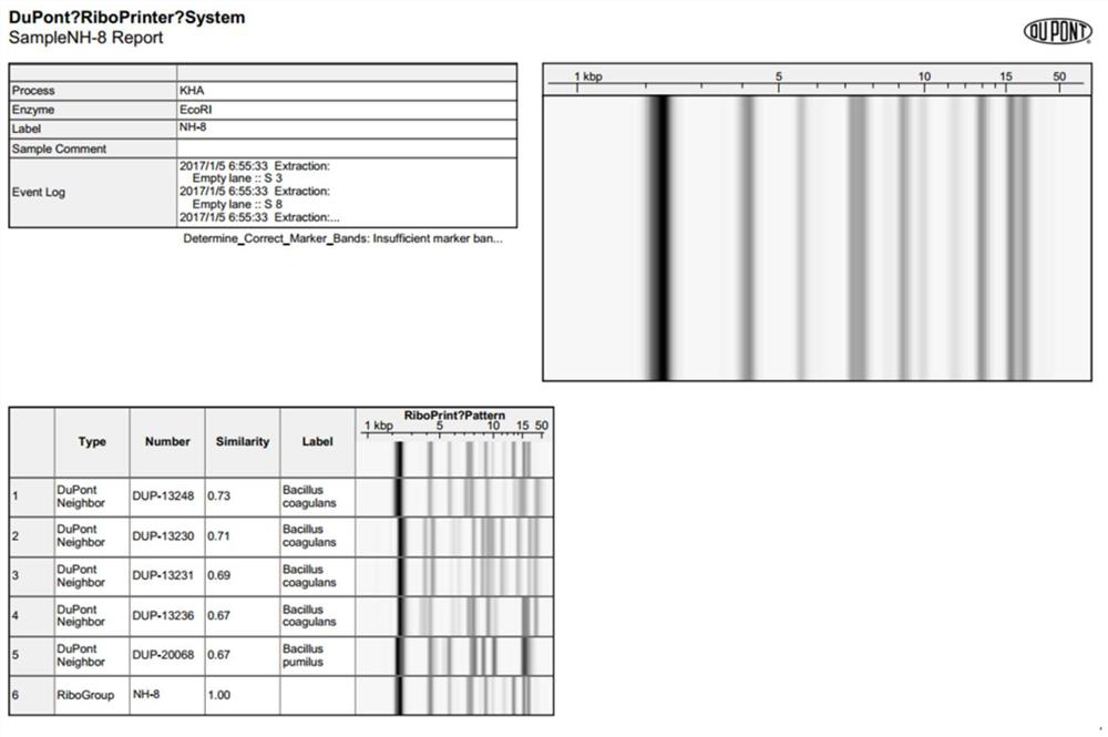 Bacillus coagulans with functions of preventing diarrhea and degrading cholesterol