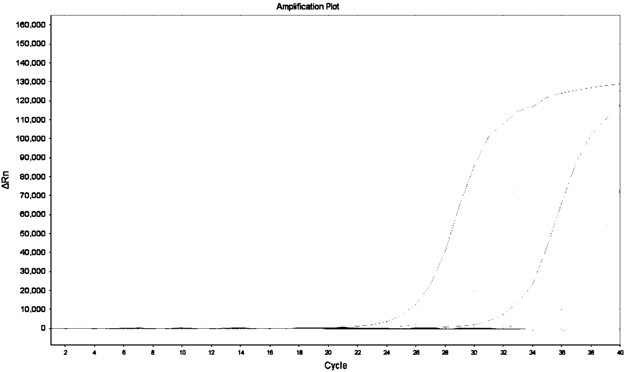 Kit and method for detecting human-derived KRAS gene mutation in excrement