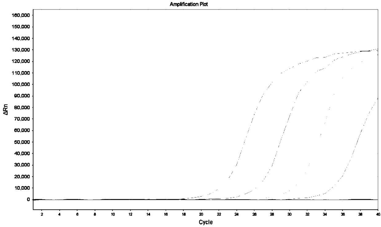 Kit and method for detecting human-derived KRAS gene mutation in excrement