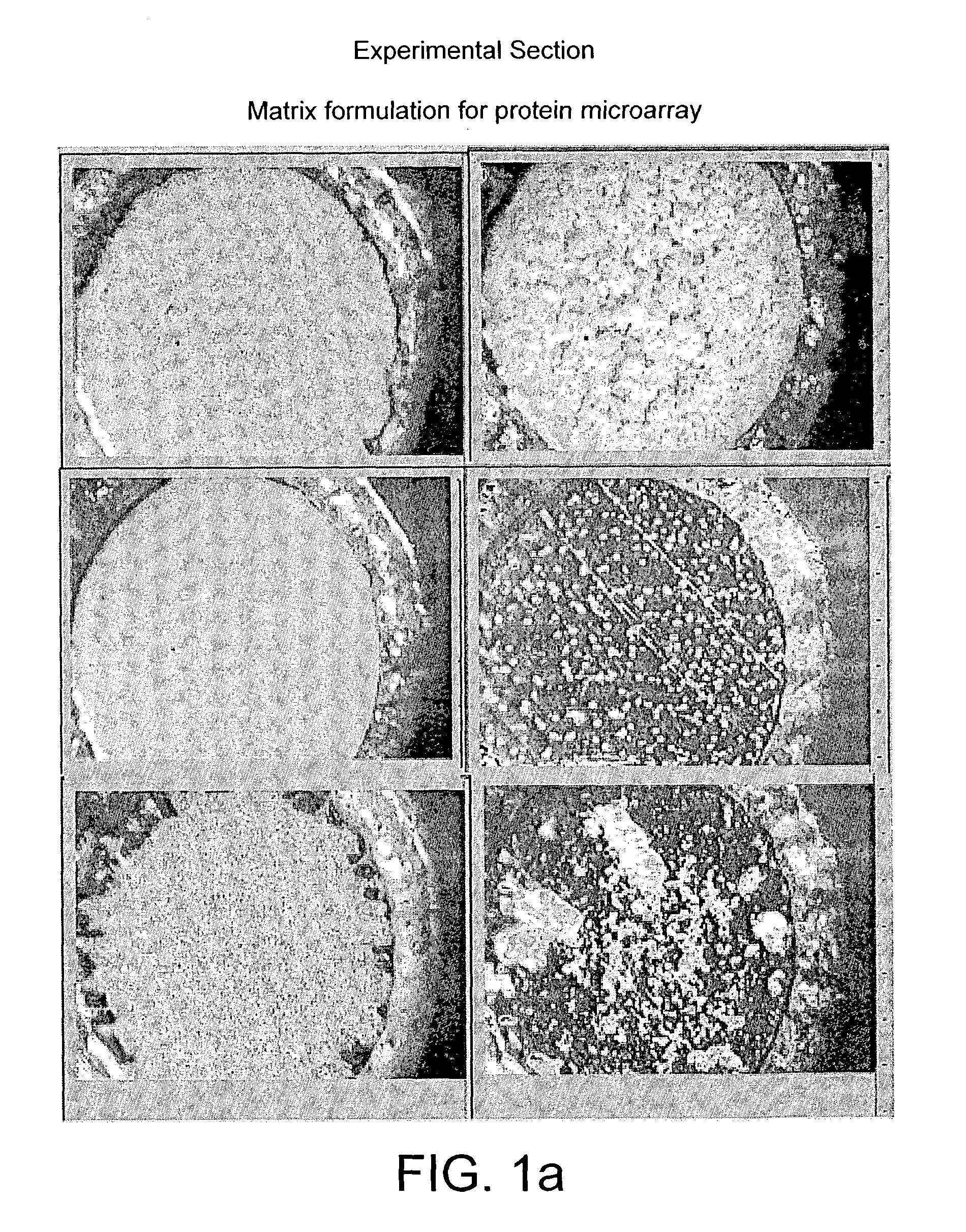 Probe for mass spectrometry