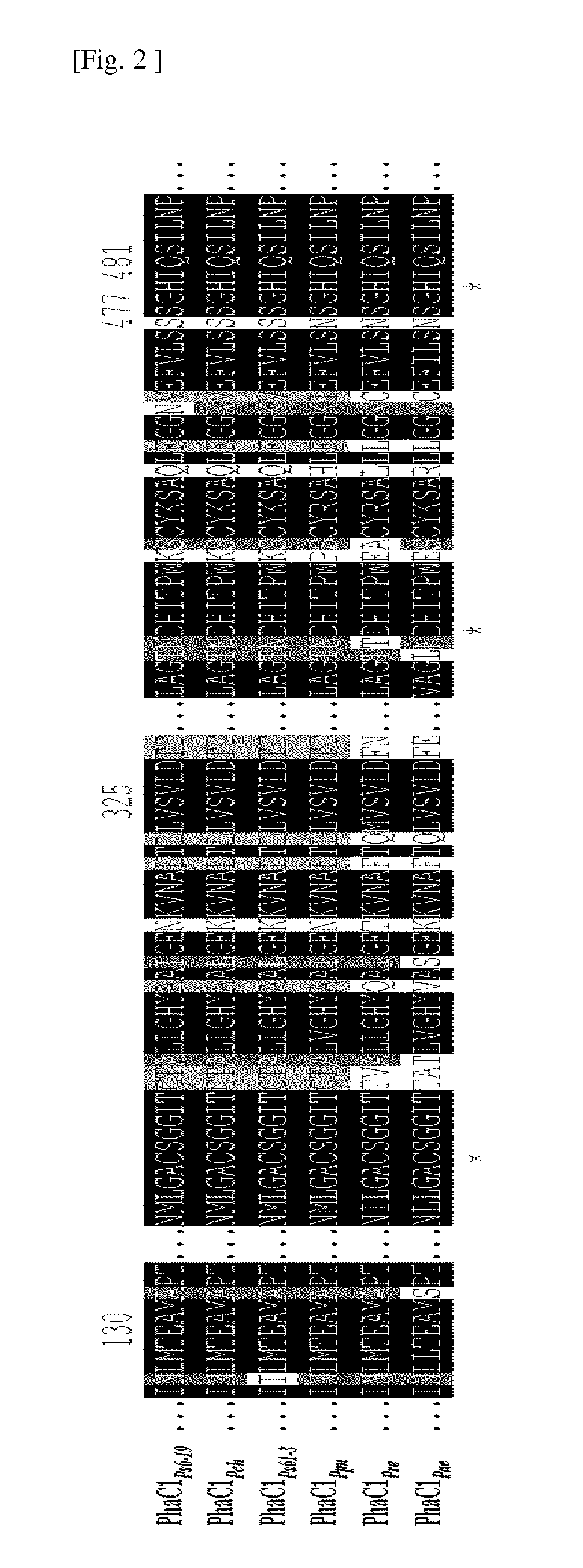 Preparation method of lactate polymers and lactate copolymers using polyhydroxyalkanoate synthase mutants