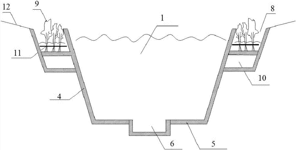 River-way ecological management system and method for managing river way by virtue of river-way ecological management system