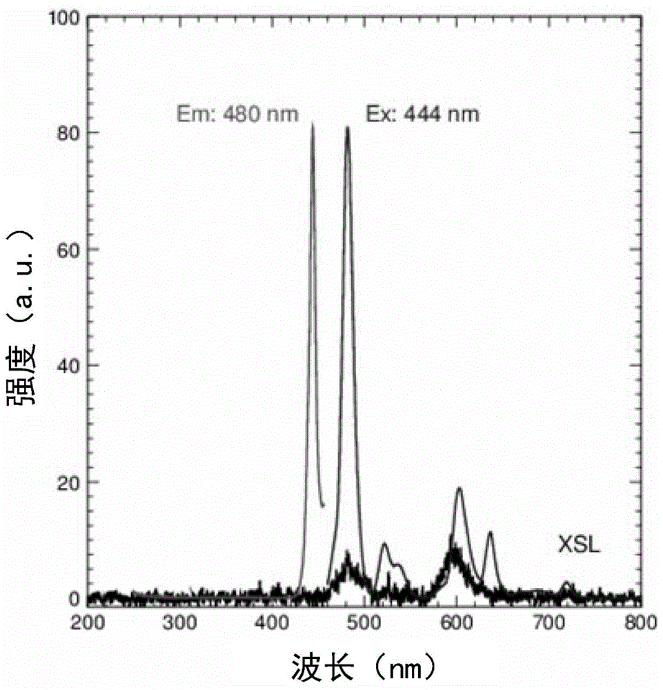 Praseodymium activated lead fluoride scintillation crystal material and preparation method thereof