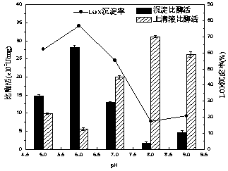 Method for extracting lipoxygenase from soybean whey waste water through inverse pH gradient