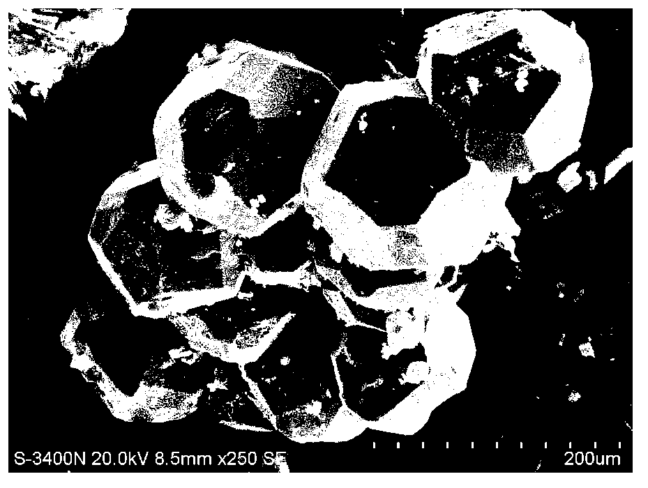 Method for preparing large-size analcite by utilizing hydrothermal crystallization of geopolymer