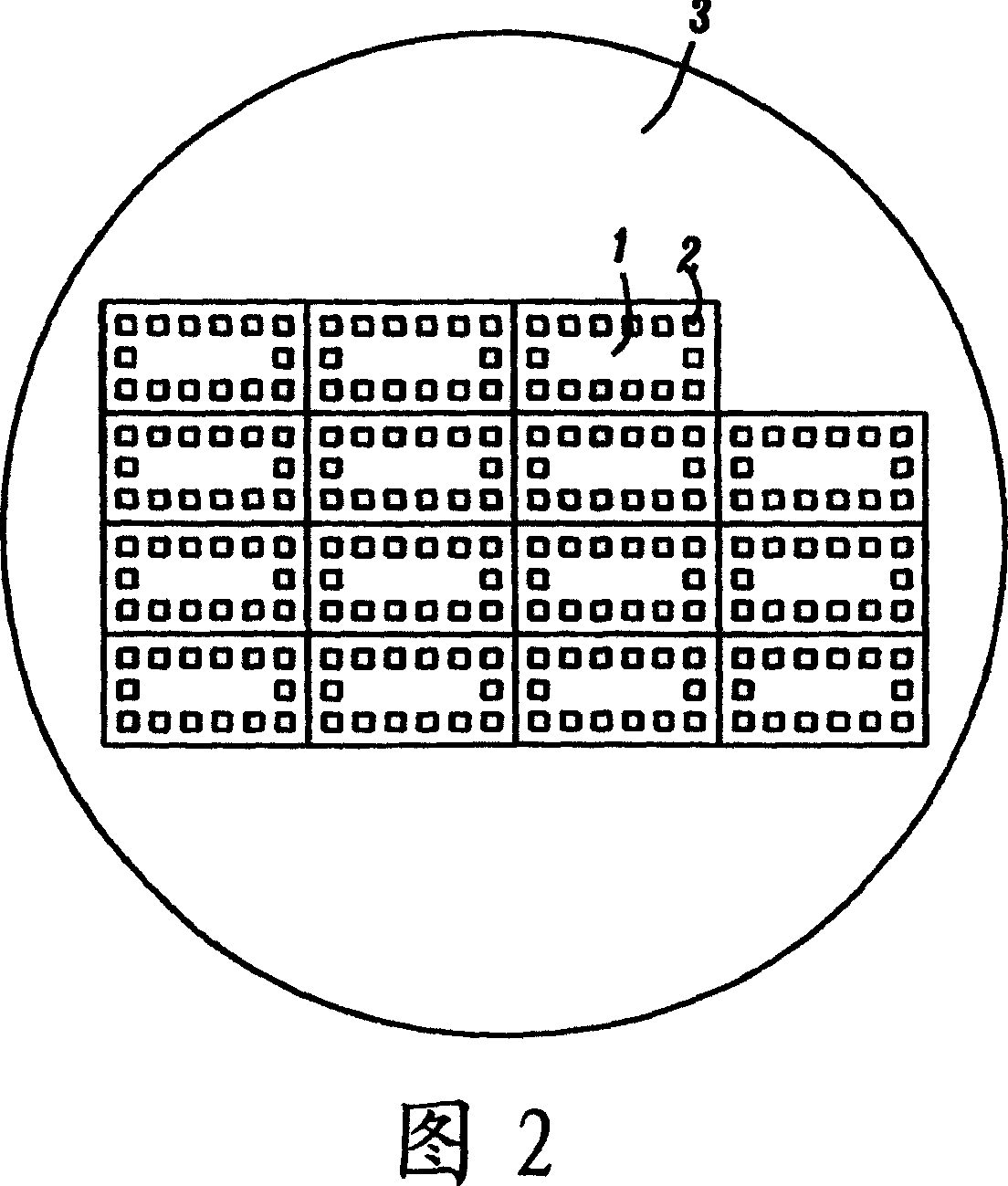 Packaged semiconductor grain