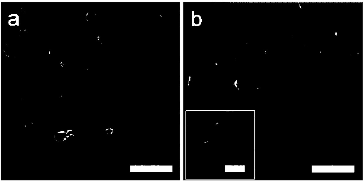 Preparation and application of MOF-derived porous carbon/graphene composite electrode material