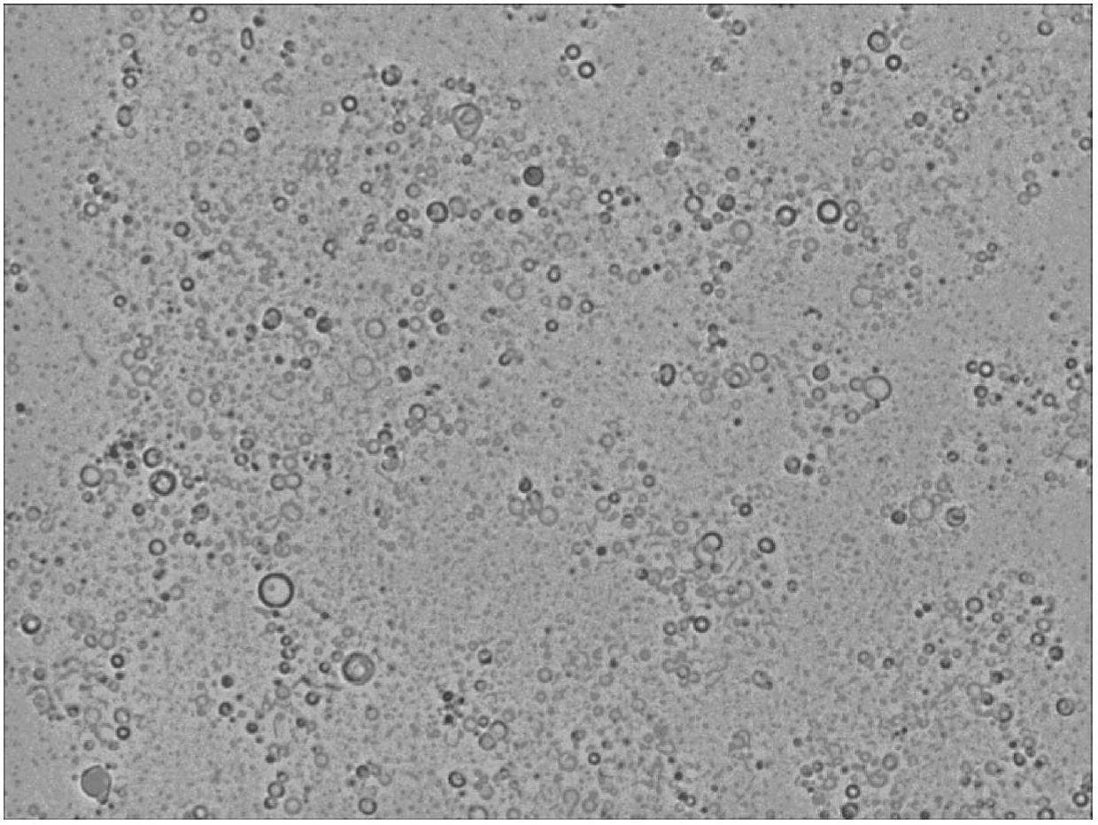 Sonodynamic liposomal material, preparation method and application thereof in preparing pharmorubicin composite liposomal