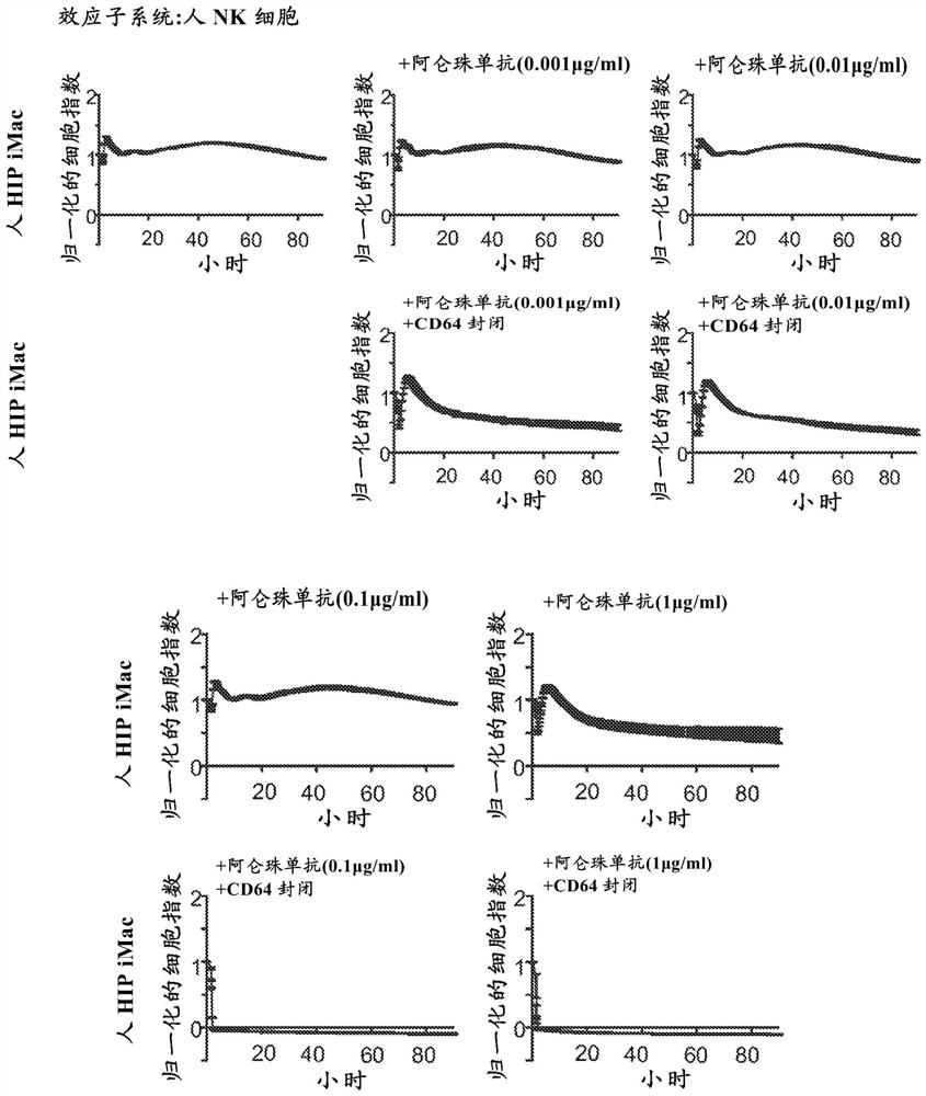 Transplanted cell protection by Fc isolation