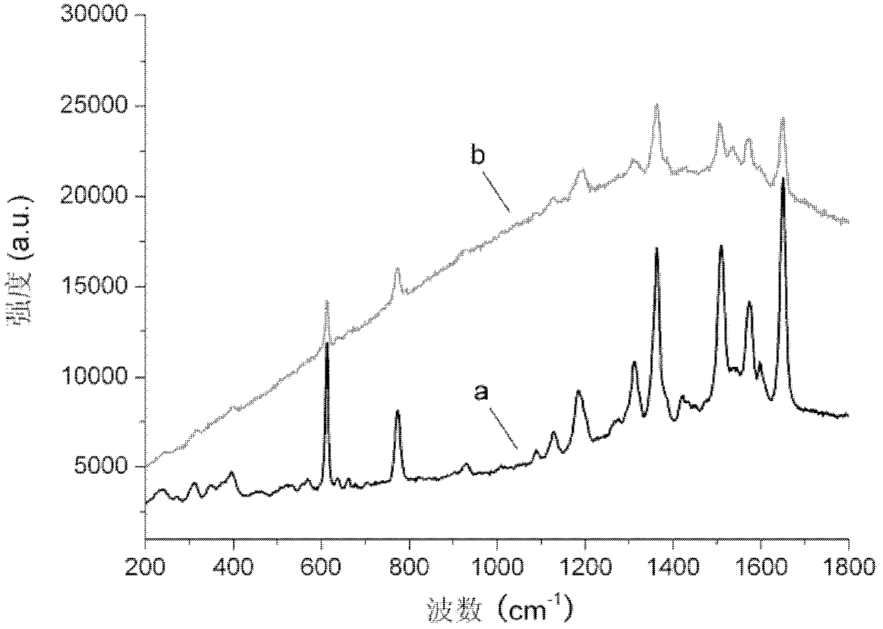 Surface-enhanced Raman scattering substrate based on surface plasmon polariton local-field coupling effect and preparation method of surface-enhanced Raman scattering substrate