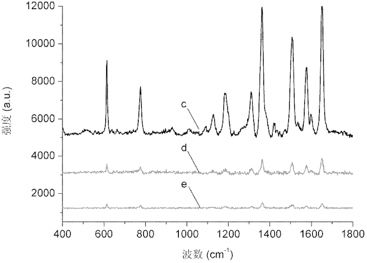 Surface-enhanced Raman scattering substrate based on surface plasmon polariton local-field coupling effect and preparation method of surface-enhanced Raman scattering substrate