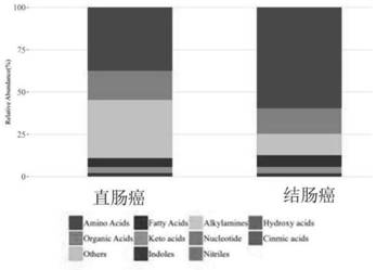 Relevant prediction system for colorectal cancer, electronic equipment and storage medium