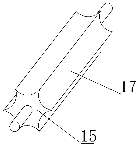 Rapid core-taking device for medulla tetrapanacis