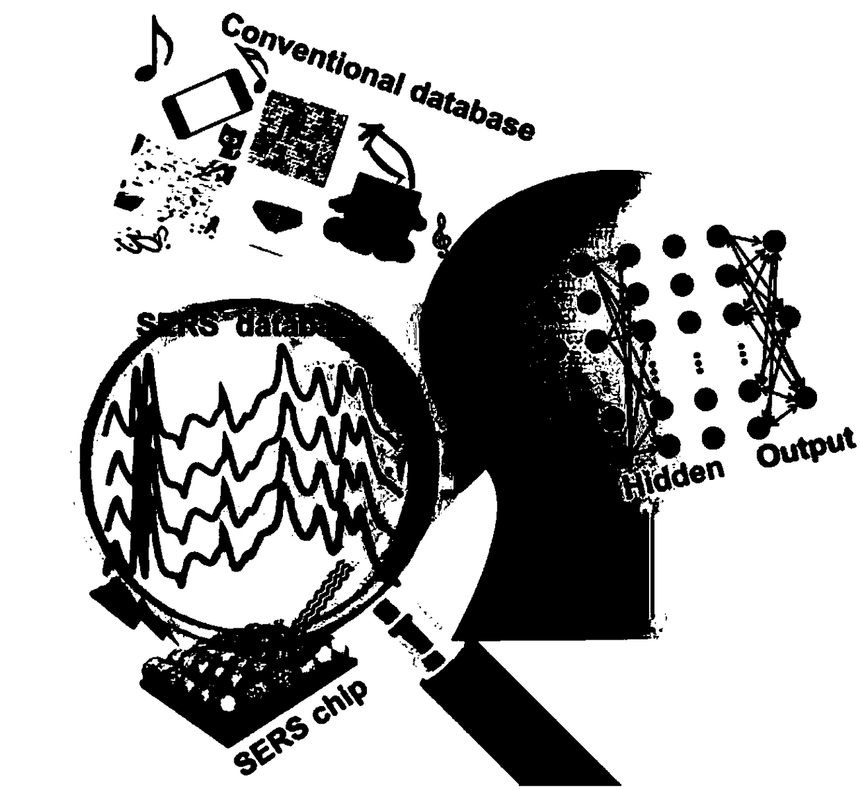 Silicon-based SERS chip DNA database constructing and training method used for artificial intelligence detection of DNA