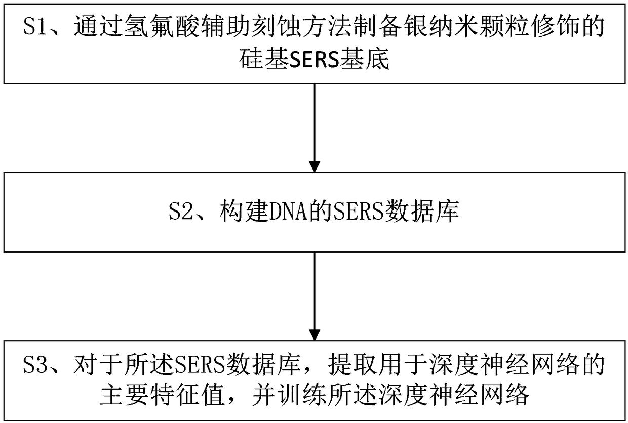 Silicon-based SERS chip DNA database constructing and training method used for artificial intelligence detection of DNA