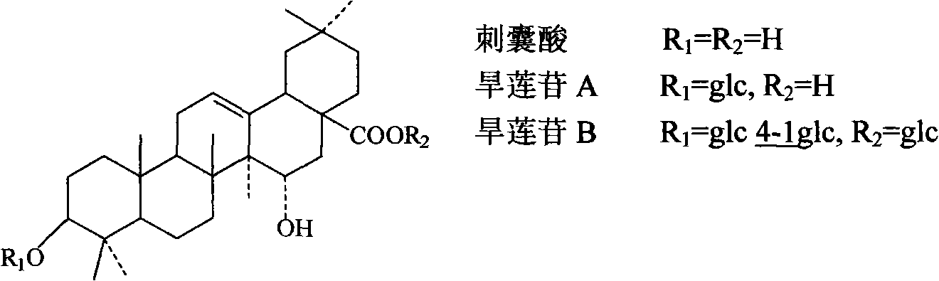 Extracting method of steroid saponins of yerbadetajo