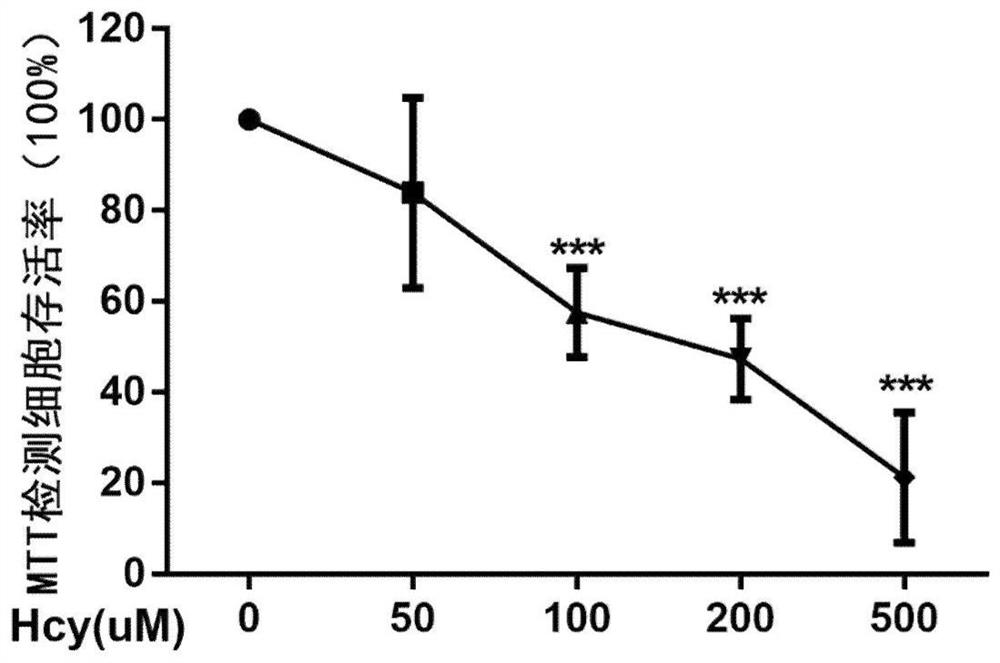 Molecular marker for early warning of atherosclerosis and application of molecular marker