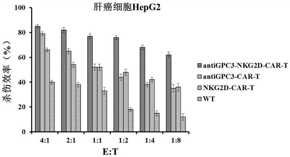 Enhanced immune cell and application thereof