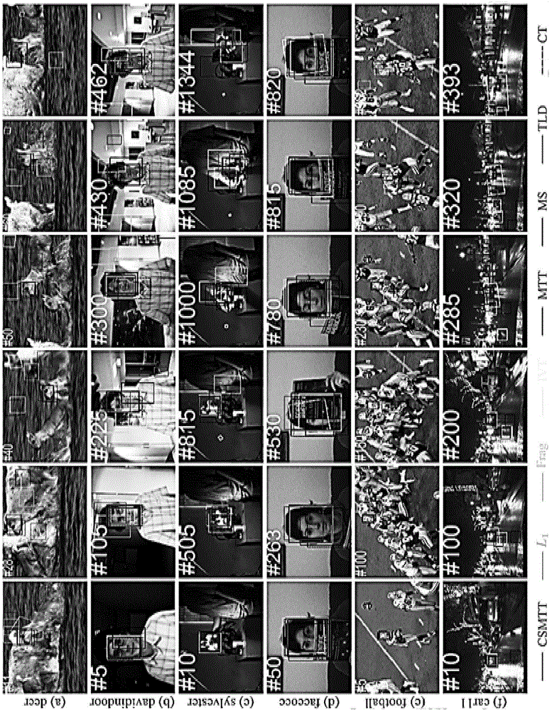 Video target tracking method based on compound sparse model