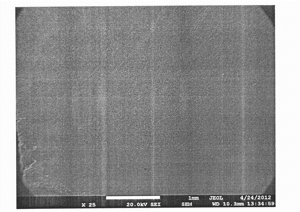 Preparation method of lithium iron phosphate material anode sheet