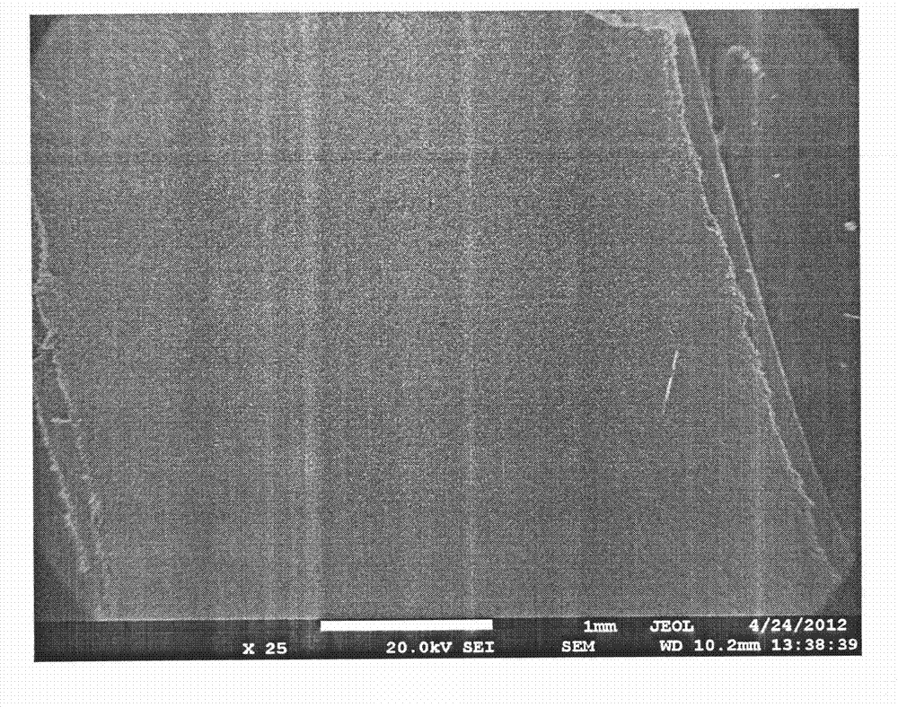 Preparation method of lithium iron phosphate material anode sheet