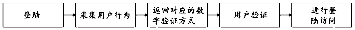 Digital verification system and digital verification method based on risk classification