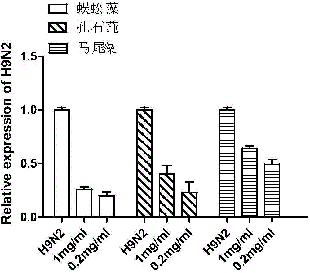 Application of seaweed polysaccharides