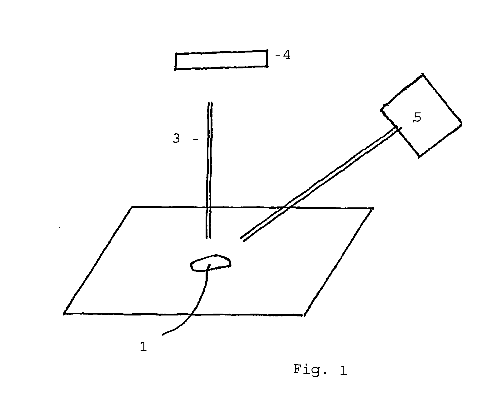 Methods for determining the sex of birds' eggs