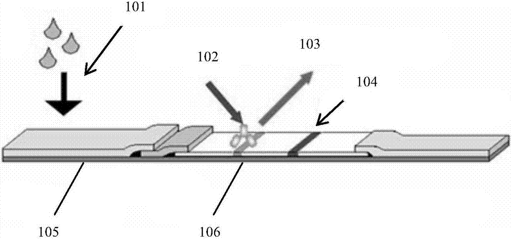 Portable fluorescence immunity analyzer and portable fluorescence analysis method