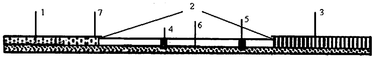 Preparation method and application of iprodione hapten and antigen