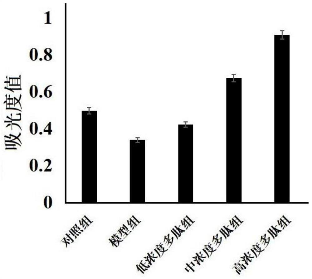 Plant-derived polypeptide with anti-aging effect, face cream containing plant-derived polypeptide and preparation method of face cream