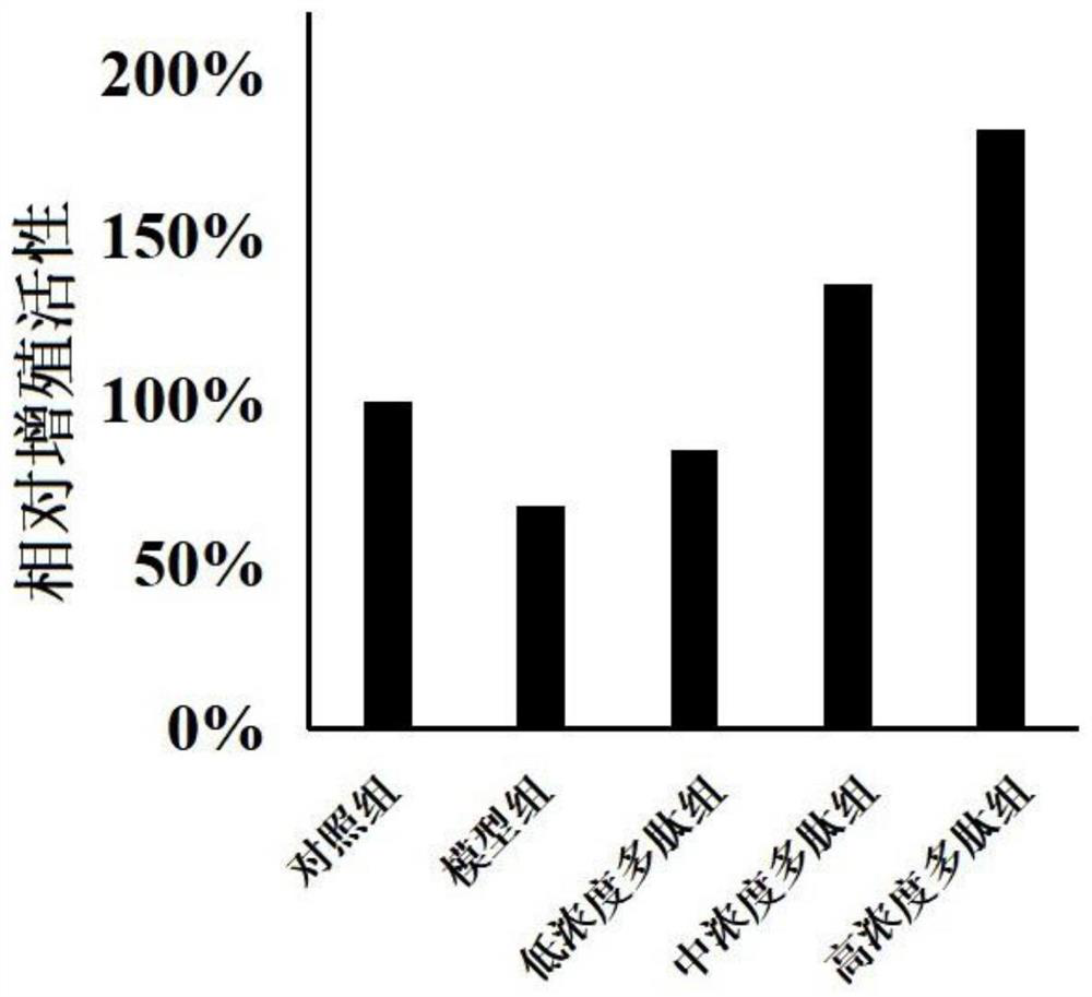 Plant-derived polypeptide with anti-aging effect, face cream containing plant-derived polypeptide and preparation method of face cream