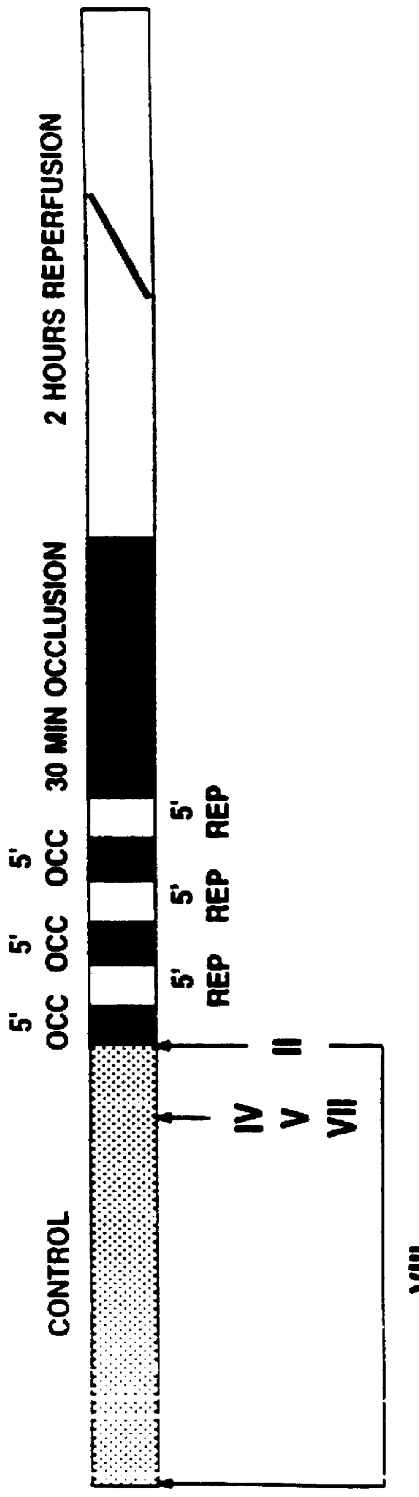 Ischemic preconditioning