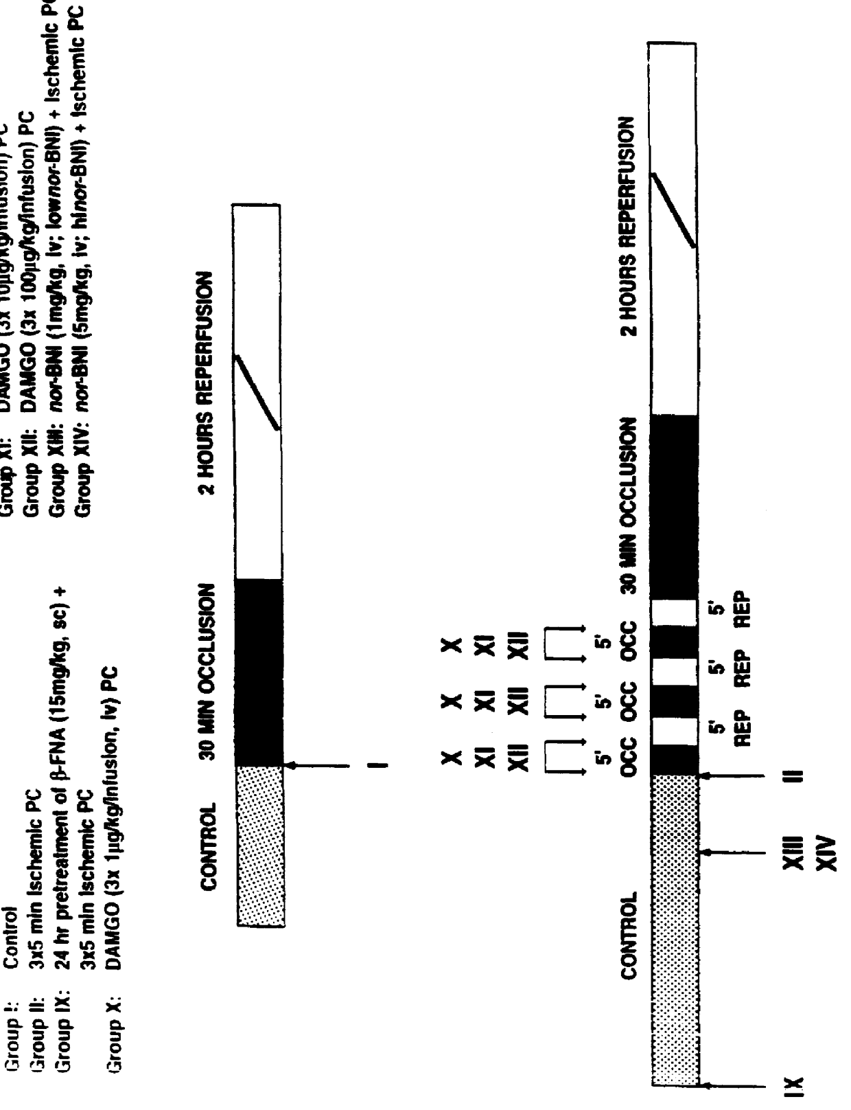 Ischemic preconditioning