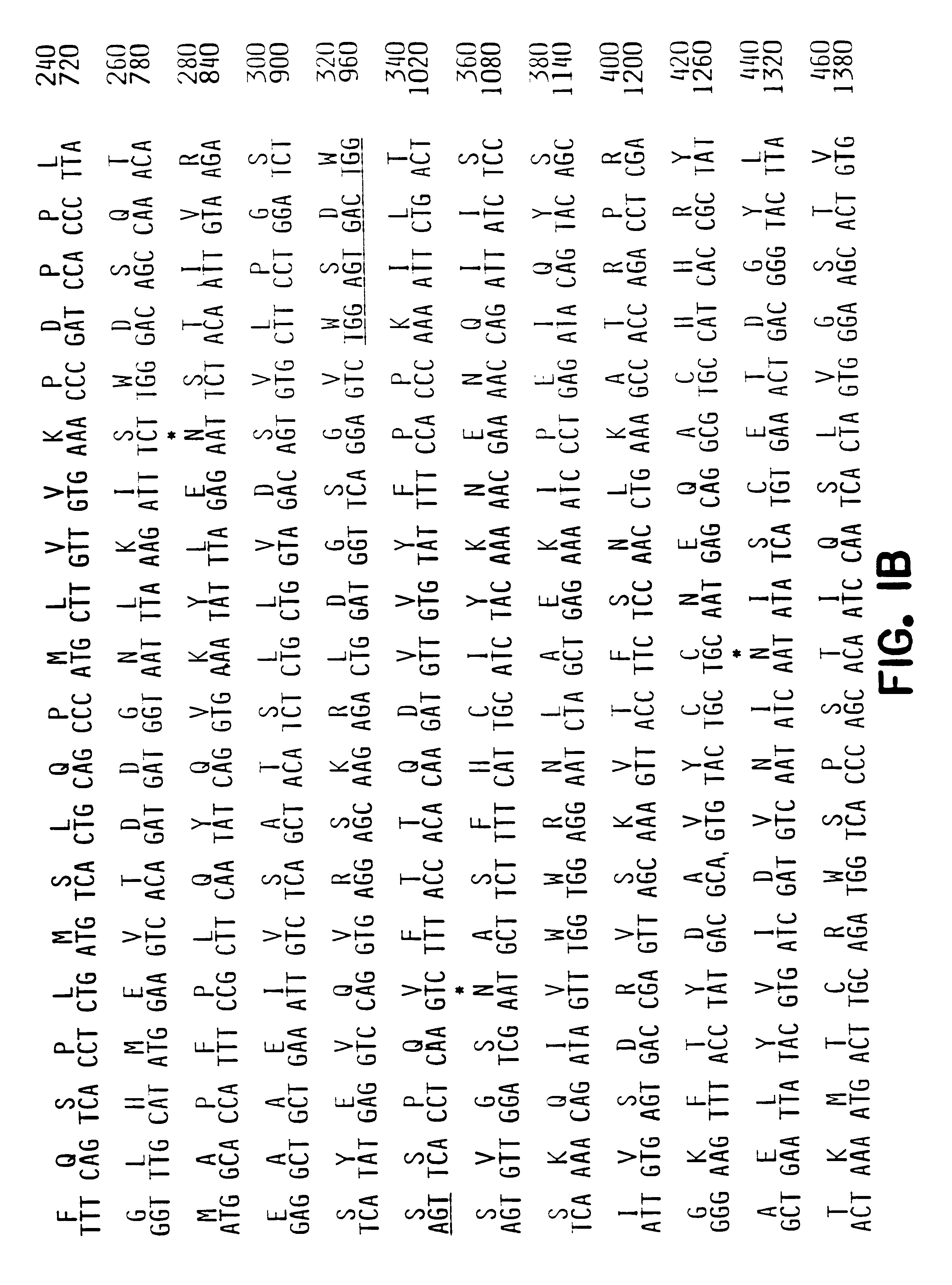 Ob receptor and methods for the diagnosis and treatment of body weight disorders