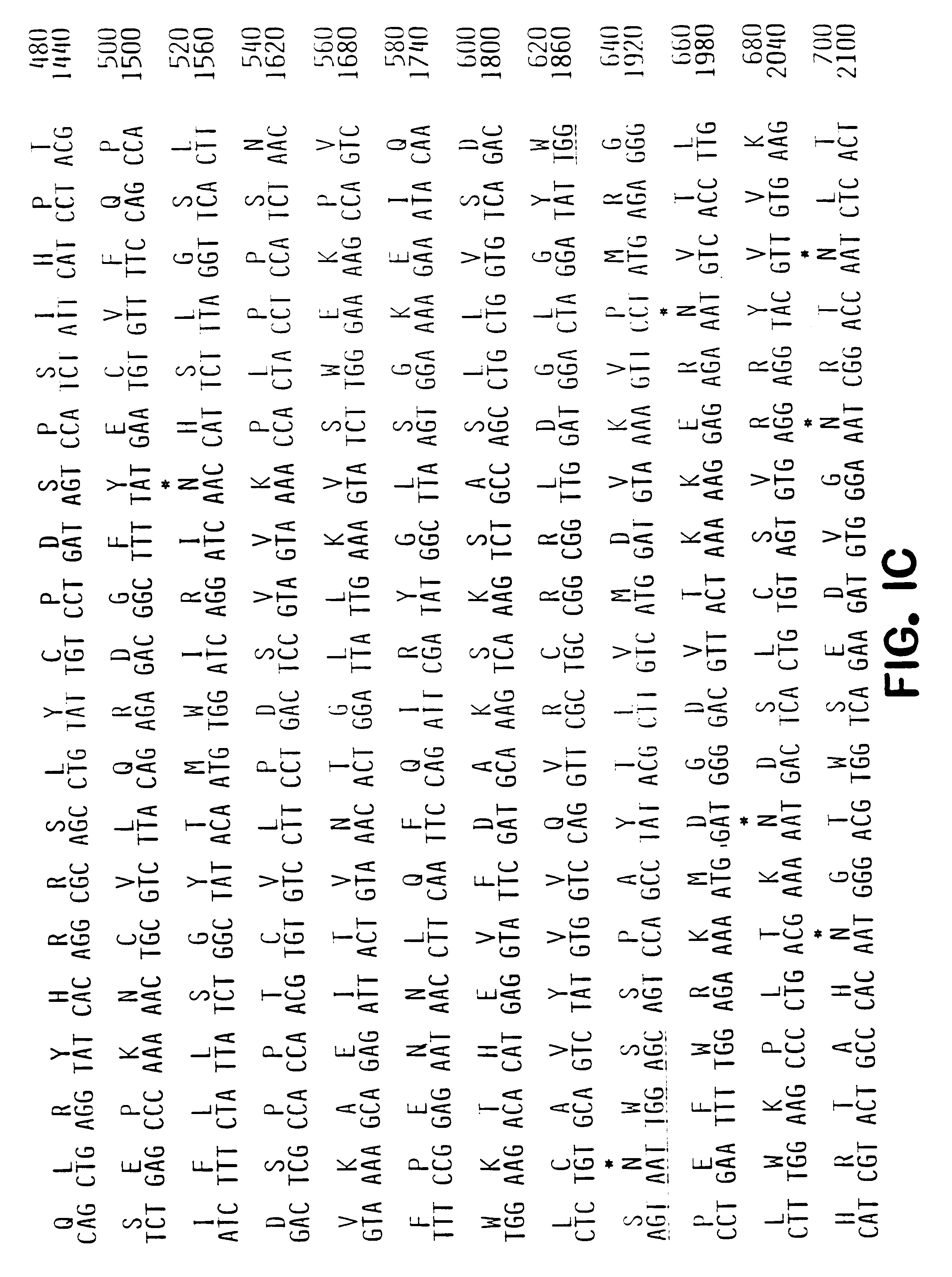 Ob receptor and methods for the diagnosis and treatment of body weight disorders