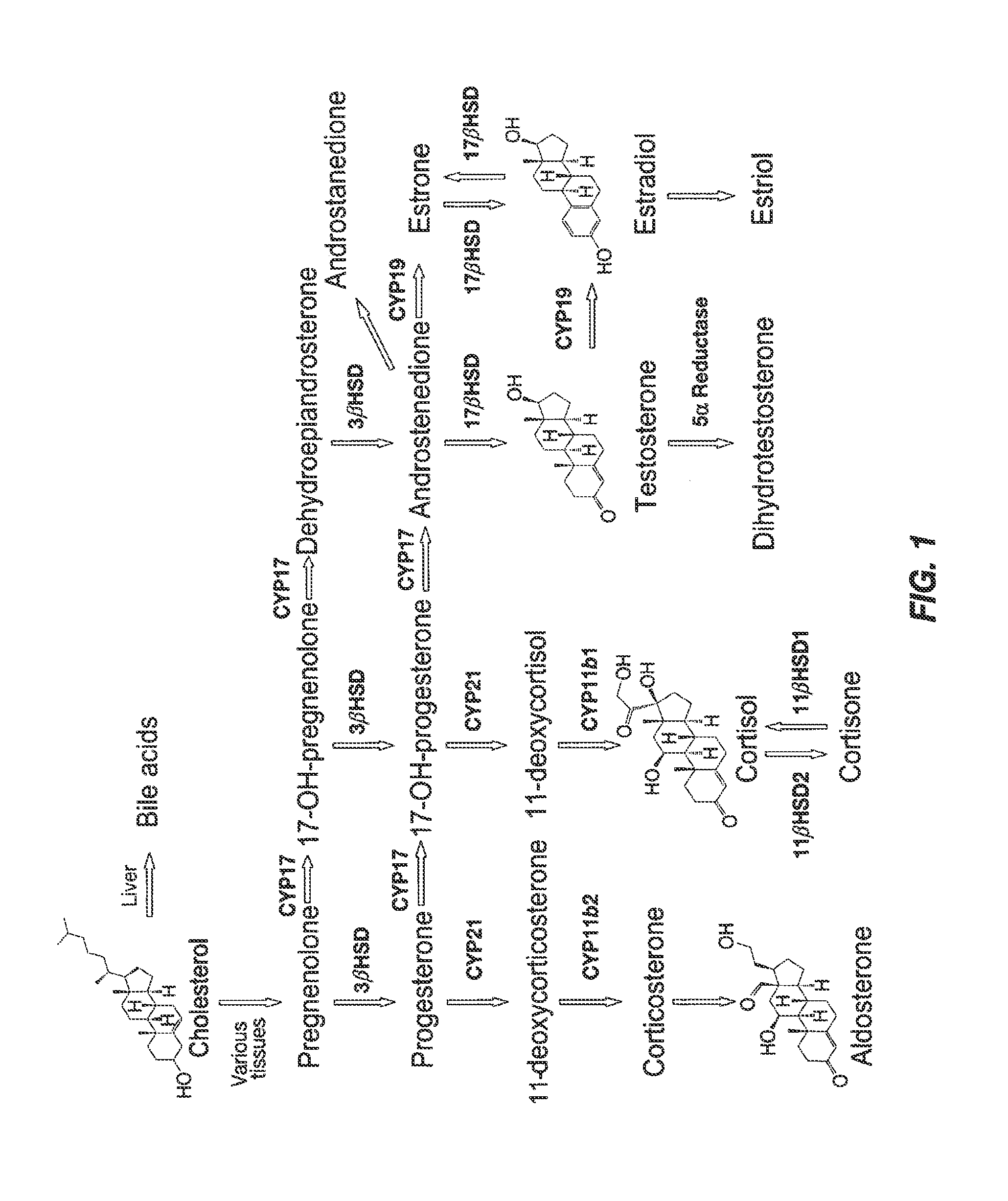 Steroid profile in ovarian follicular fluid for diagnosis, prognosis and determining strategies for treatment