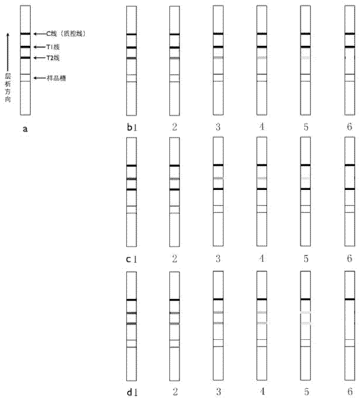 Method for simultaneous quantitative detection of zearalenone and fumonisin B1