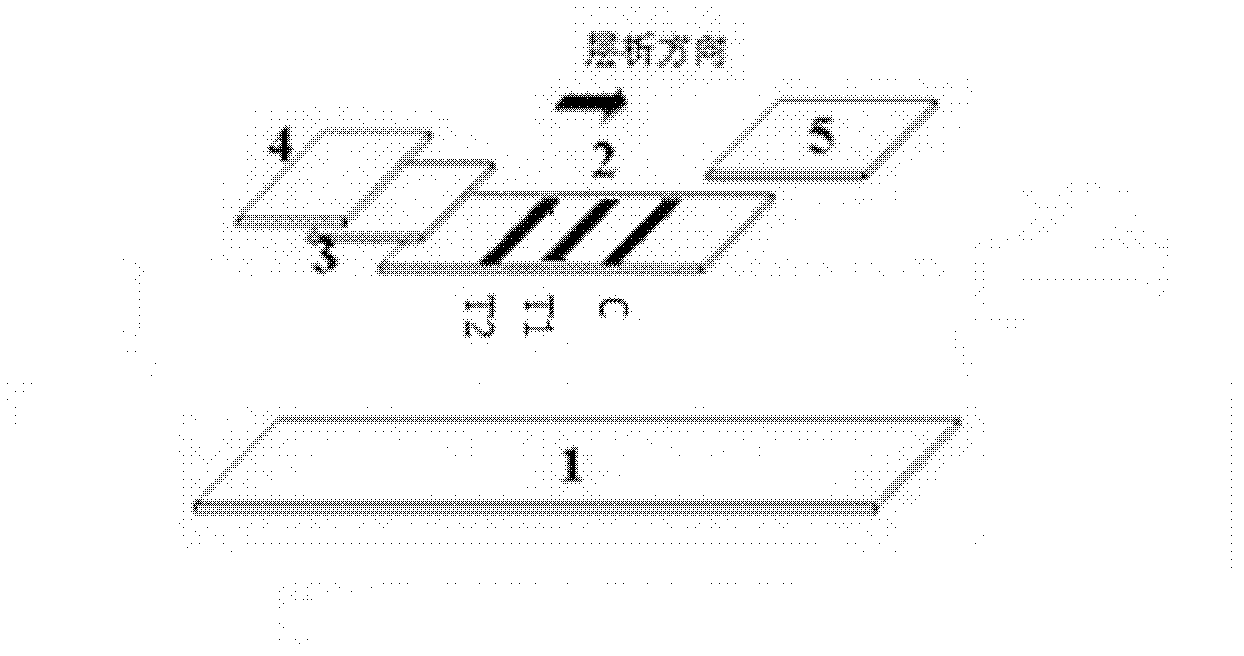 Method for simultaneous quantitative detection of zearalenone and fumonisin B1