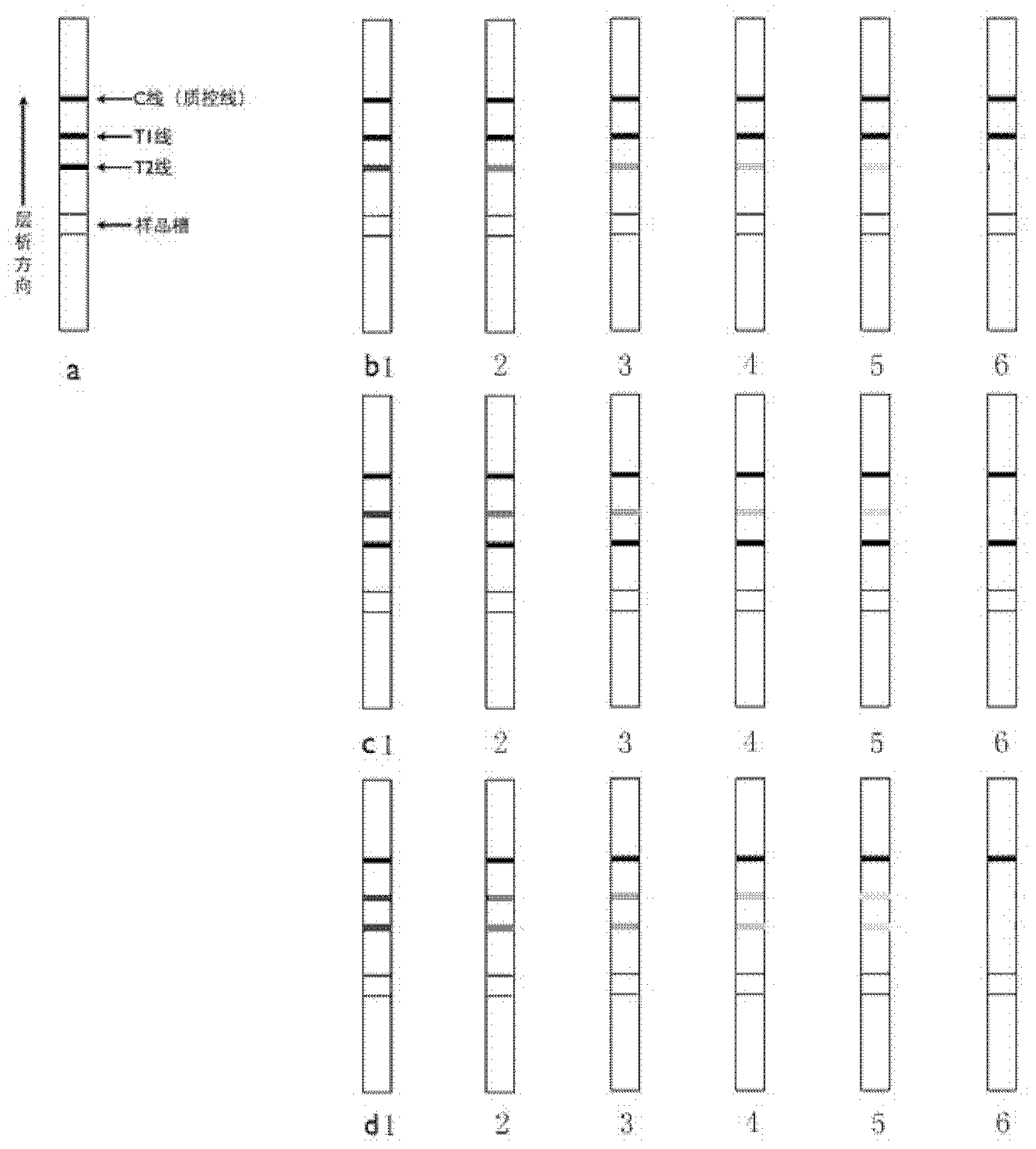 Method for simultaneous quantitative detection of zearalenone and fumonisin B1