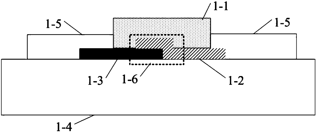 Two-dimension material heterojunction sensor