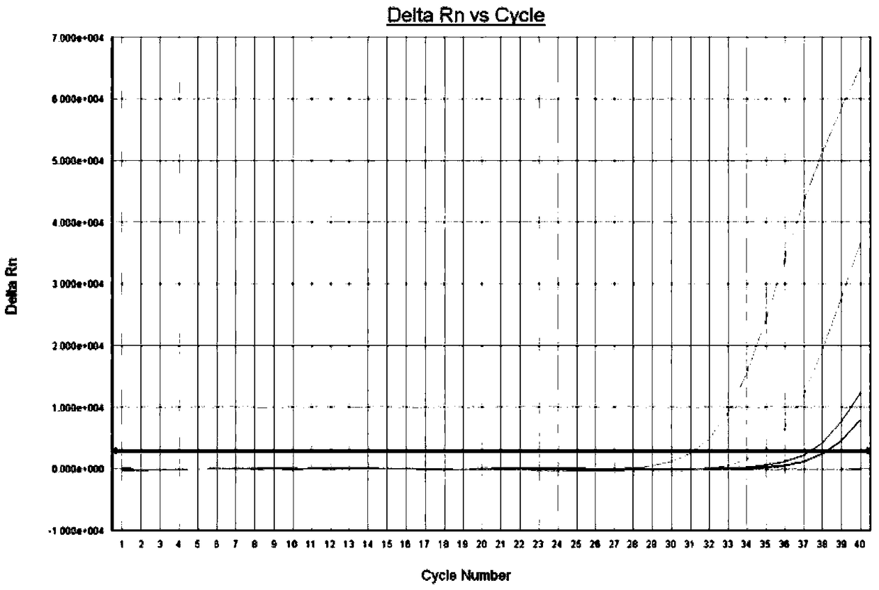 Nucleic acid releasing agent and nucleic acid on-site releasing method