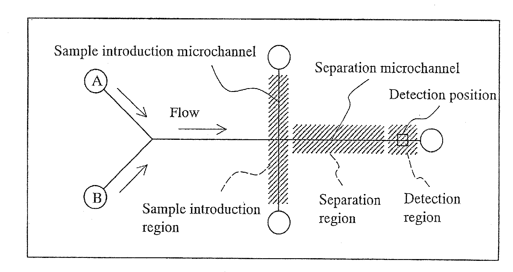 Microchip electrophoresis method and device