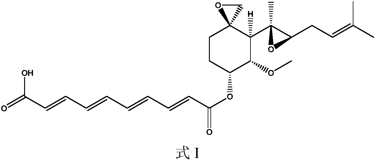 Fumagillin extraction and purification method