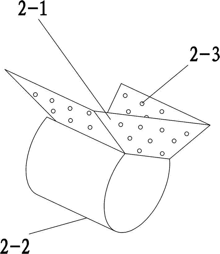 Anchor hole based slope afforesting method and system