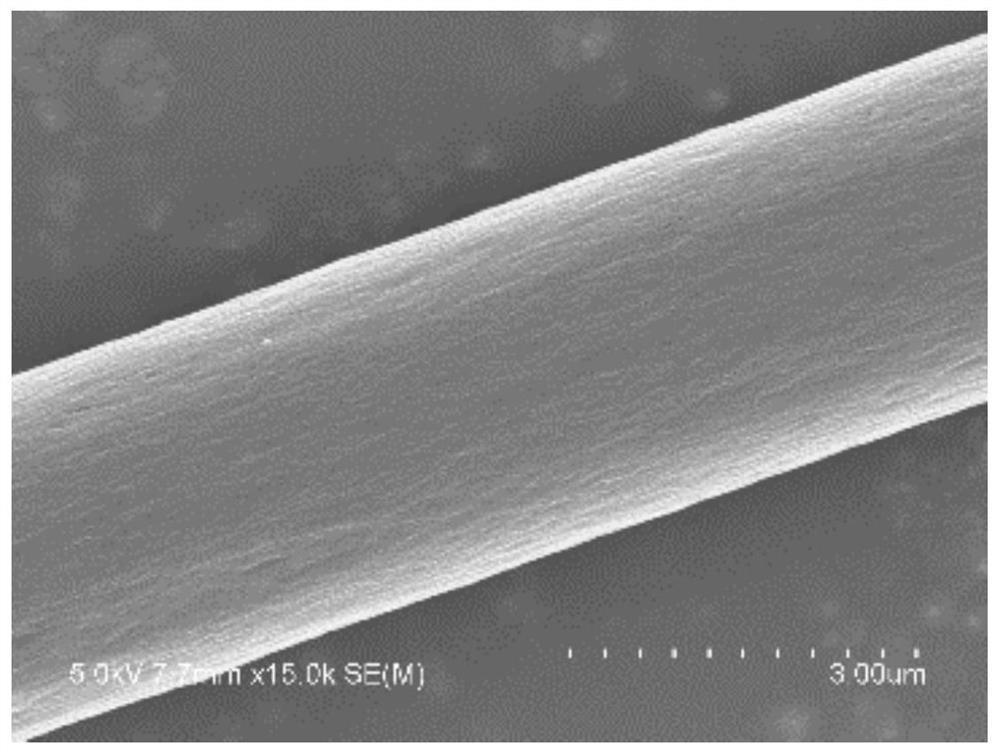 Carbon fiber modification method and product thereof