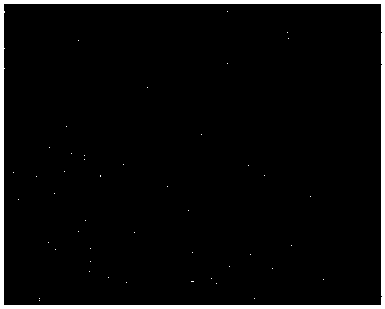 Vector image generation method and system based on bitmap image adaptive segmentation